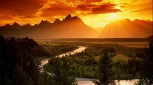 ВЕРНИСЬ, СЫНОК!