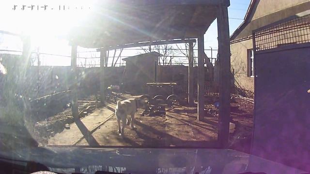 что Громушка остались мы одни смотреть онлайн