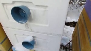 ответы на вопросы - последствия на пасеке после ледяного дождя