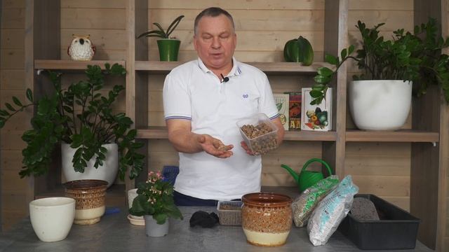 НЕ ЗАГУБИТЕ цветущие растения после покупки. Правильная перевалка.