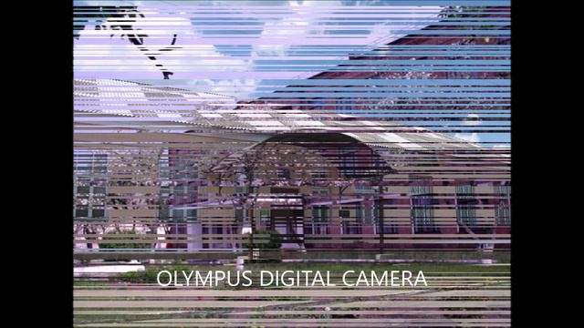 Конотоп сумская область