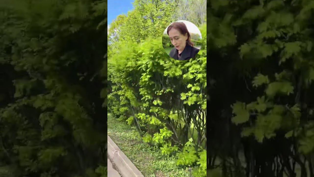 Пасха. Прогулка. Коломенский парк