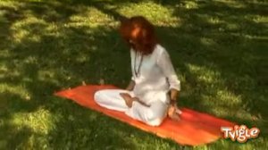 Техника йоги  Поза лотоса