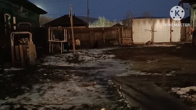 Красноярск.15 ноября 2023 г. Закаливание холодной водой. Обливание из ведра.