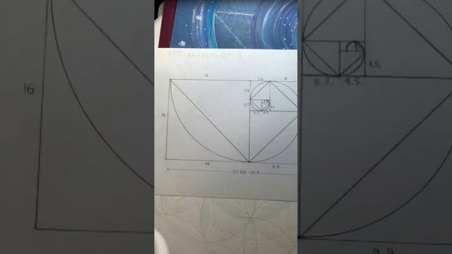 Спираль золотого сечения и спираль Фибоначчи. В чем отличие?