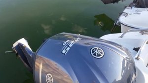 YAMAHA FR 24, FR 26, F26 сравниваем