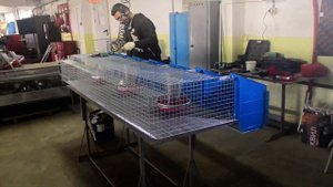 Демонстрационный ролик о компании Панкроль