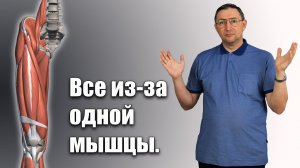 ИЗ ЗА ЭТОЙ МЫШЦЫ возникает вальгус,плоскостопие,боль под лопаткой в спине и шее.