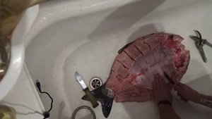 Белый Амур холодного копчения
