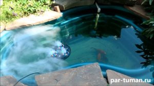Ультразвуковой генератор тумана для пруда, водоёма. Сайт: par-tuman.ru