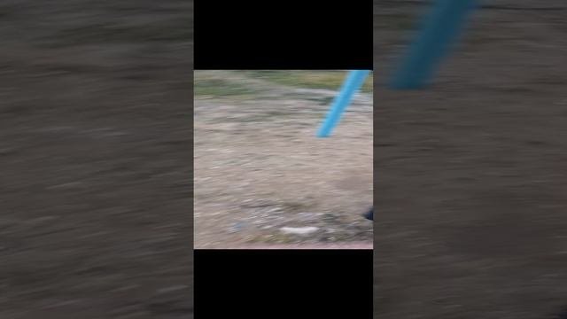 ищем  монеты