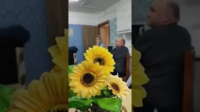 веселый петух ноябрь 2023 смотреть онлайн