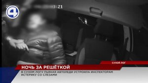 Пьяная автоледи из Сухого Лога устроила сцену инспекторам ДПС