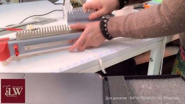 Ивушка и ее разновидности
