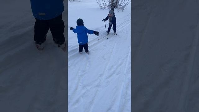 Спортивная семья.