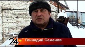 Пестречинские фермеры занимаются разведением племенных лошадей породы русский тяжеловоз