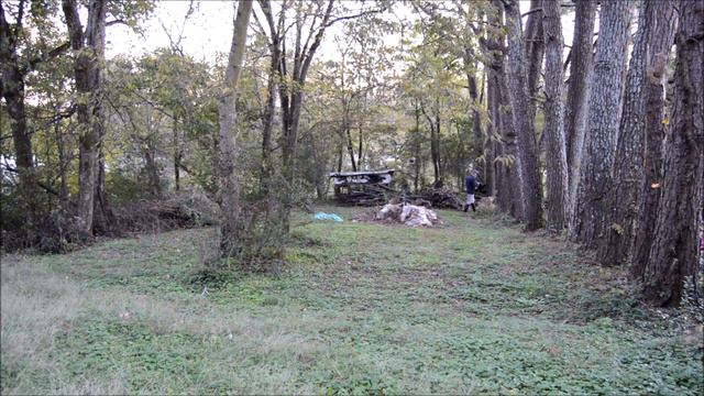 Tasco Trail Cam - Where are the deer? - Tying it to a tree - How to смотреть онлайн