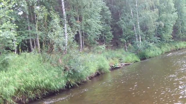 С тенкарой по Уралу. Эпизод 3: Река Чусовая #ловляголавля