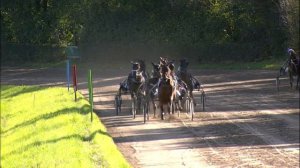 Trabrenntag Bedburg-Hau - 14.9.2019 - Rennen 5 - Goah d'Isere (Niels Jongejans)