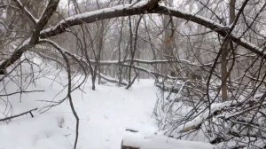 VALHALLA CALLING by Miracle of Sound ft. Peyton Parrish (Duet Version)