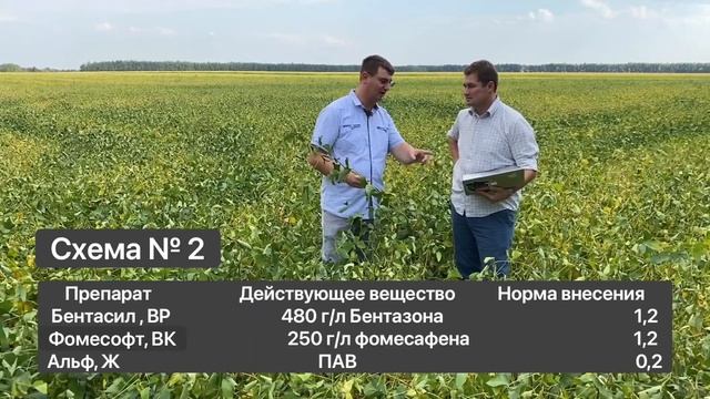 СХЕМЫ ЗАЩИТЫ СОИ от сорняков. Наш опыт смотреть онлайн