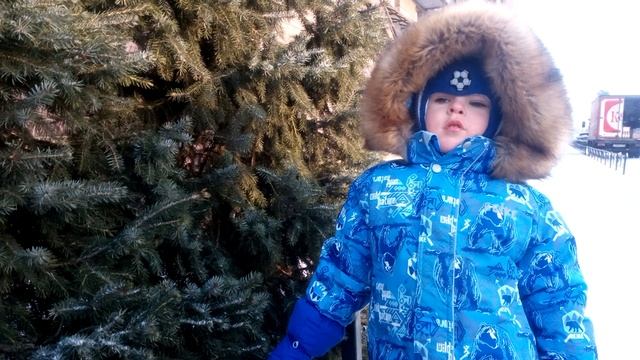 РОЖДЕСТВО