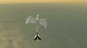 взрослые ночные сияния, видеоклип