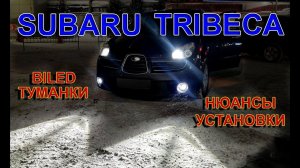 BILED Линзы Туманки для Subaru Tribeca // Нюансы Установки