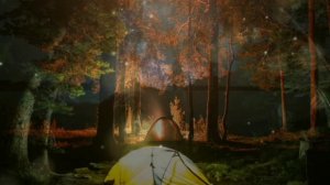 МЕЛОДИЯ ЛЕСА | МЕДИТАЦИЯ ПРИРОДЫ | ПОМОГАЕТ СНЯТЬ СТРЕСС | FOREST MELODY |  HELPS RELIEF STRESS