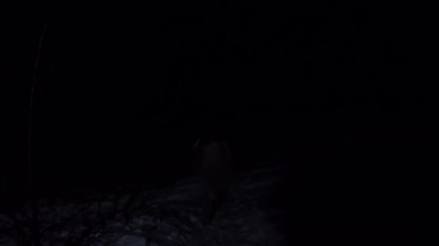 ТОП-5 ЗИМНИХ РАЗВЛЕЧЕНИЙ смотреть онлайн