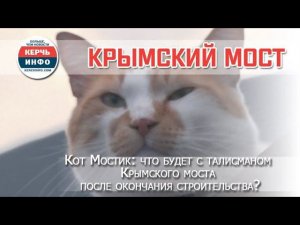 Кот Мостик что будет с талисманом Крымского моста после окончания строительства