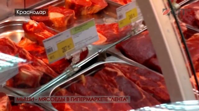 Антисанитария в магазине "Лента". Мыши едят мясо на прилавках.