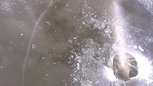 Торпеда для протяжки сетей смотреть онлайн