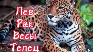 пой эту песню если твой знак зодиака,какой твой знак зодиака?