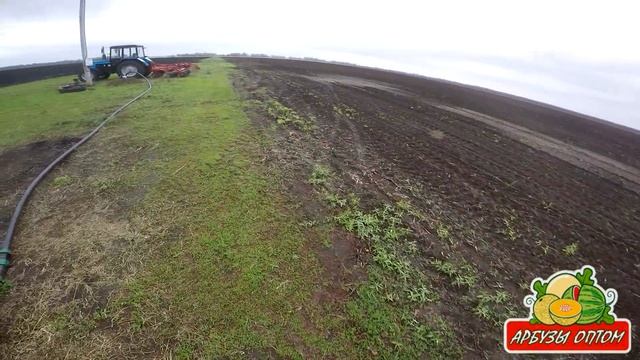 Подключили скважины в систему полива 09 05 2015 смотреть онлайн