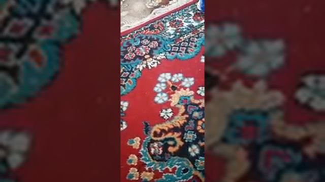 я лох (перезалив иидк/имя и друзья красавица/гордей инютин) смотреть онлайн