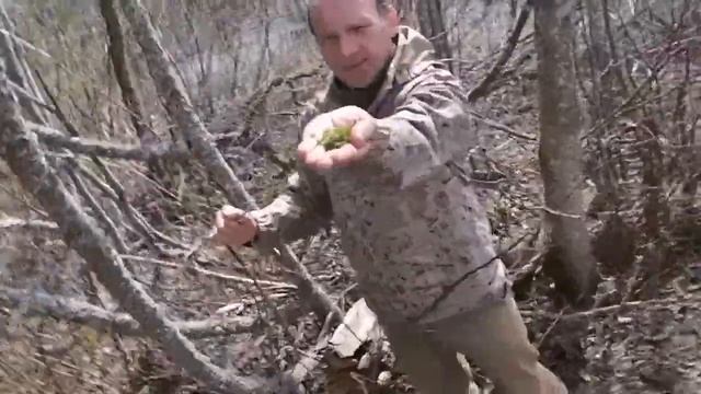 Песь 2014 смотреть онлайн