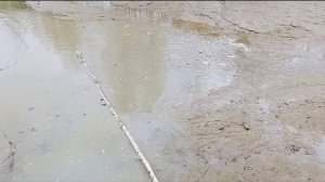 откачал пруд.