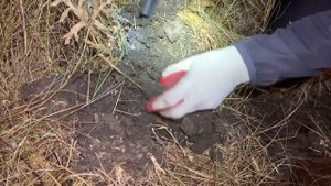 Коп в Воронежской области (в поисках монет) нашли старый кошелёк!