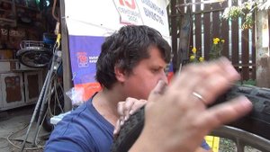 1. Мопед Дельта. Замена тормозного барабана и демпферов звезды