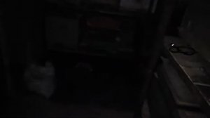 зимовка в омшанике