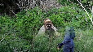 Поворот не туда. Часть 1.