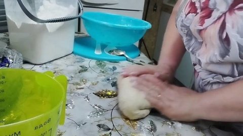 #готовимдома#вкусно?#просто?#быстрое тесто#пышные пирожки???