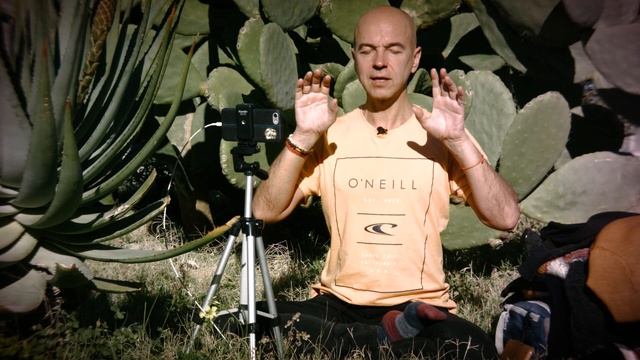 Выполняйте асаны как благодарность: йога для начинающих смотреть онлайн