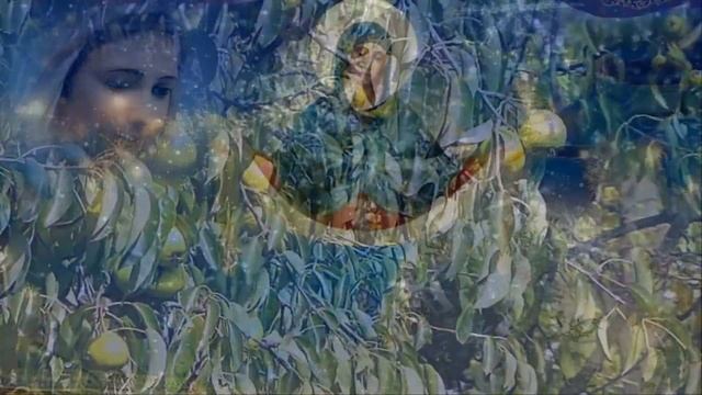 Покров Пресвятой Богородицы смотреть онлайн