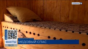 Сон на пчелах: в Туапсинском районе появился первый на Кубани апидомик