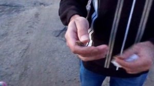 Майские ЖУКИ ??А что будет если много таких жуков накинулся на человека? ??