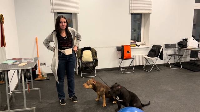 КРАСНЫЙ ДОМИК…ЗАНЯТИЕ…ВИКТОРИЯ…ЗАВТРАК…ЮМОР… смотреть онлайн