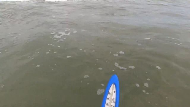 #Анапа. Сегодня 09.08.2023. Чёрное море. Пляж «Райский». Утро 8.00. Воздух 25. Море 27. Шторм. смотреть онлайн