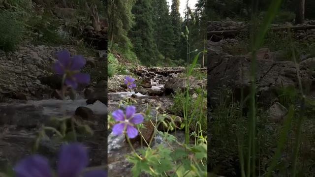 Самая короткая медитация